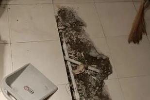 广德卫生间漏水检测电话